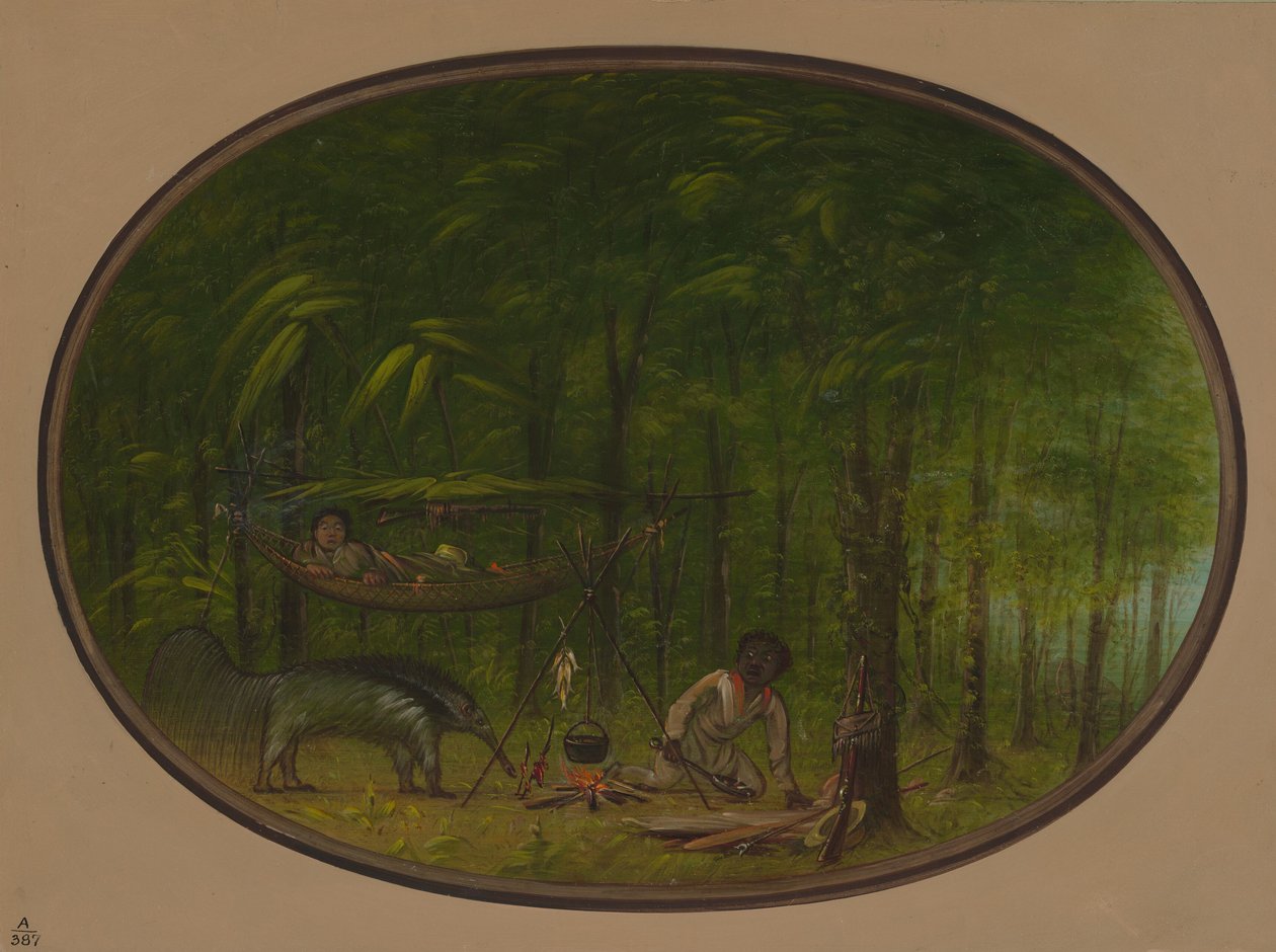 Büyük Karınca Yiyen, 18541869. by George Catlin