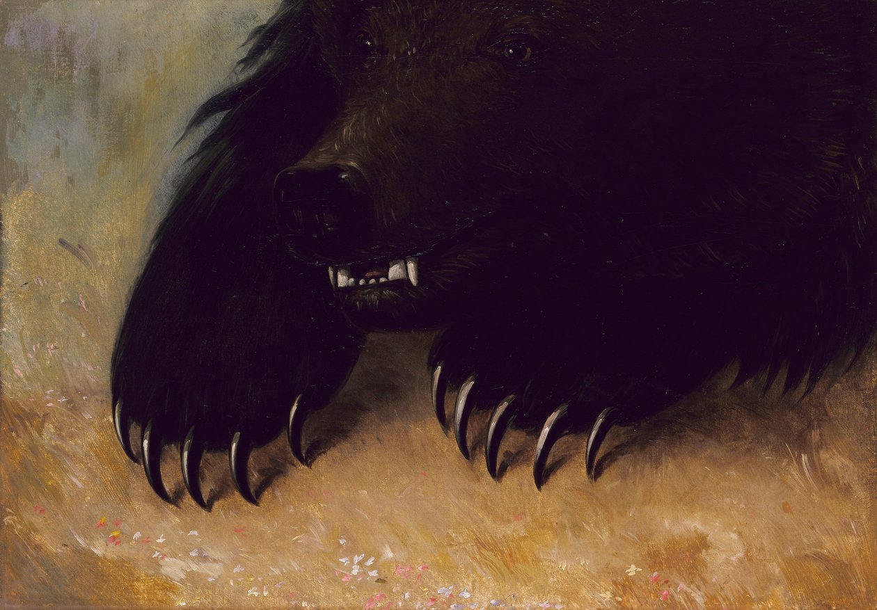  by George Catlin