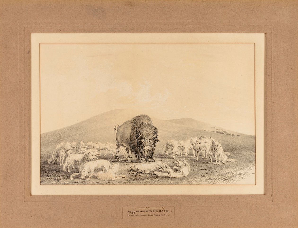  by George Catlin