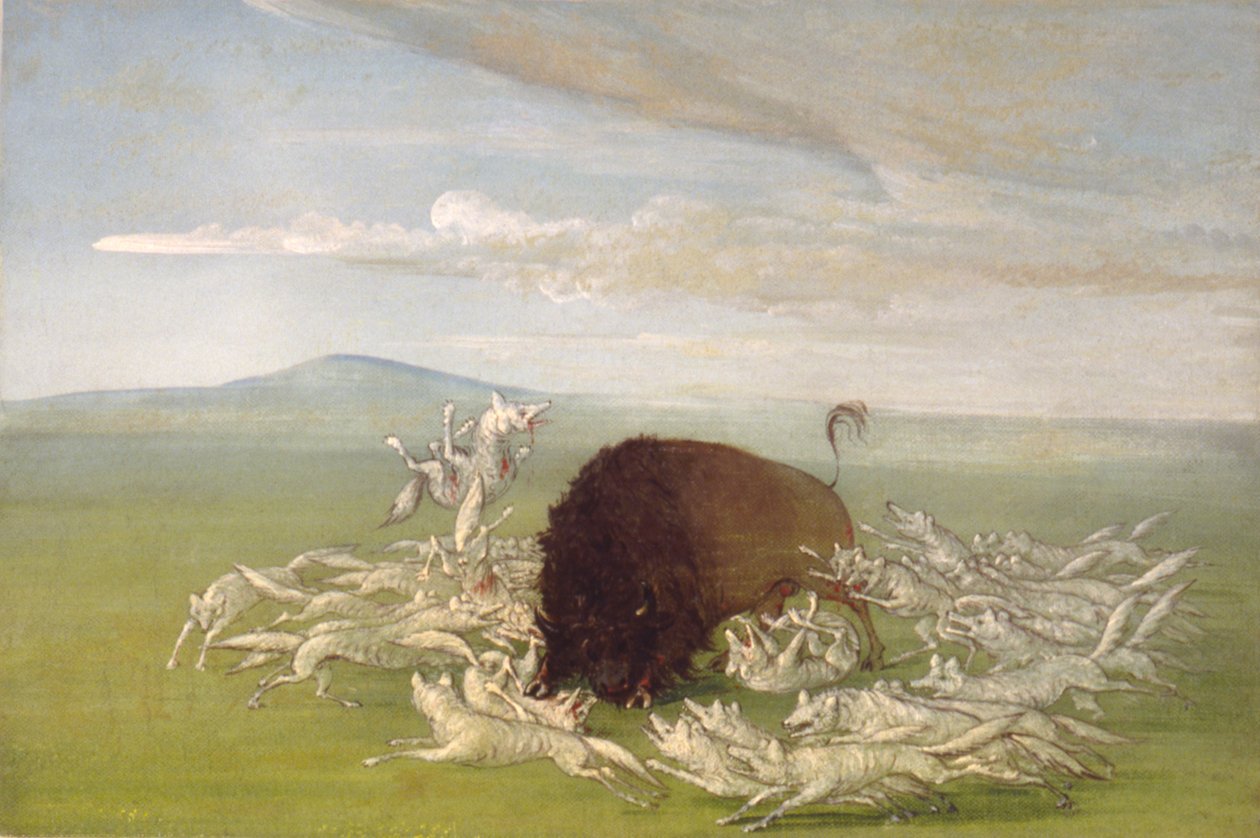  by George Catlin