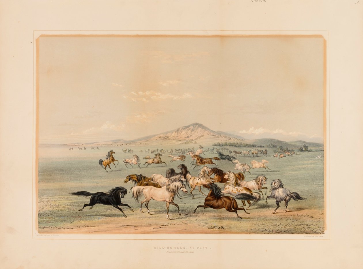  by George Catlin