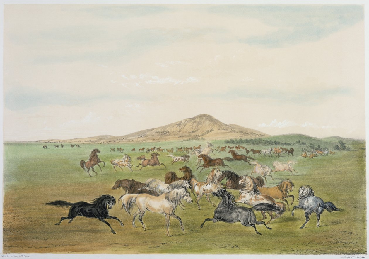  by George Catlin