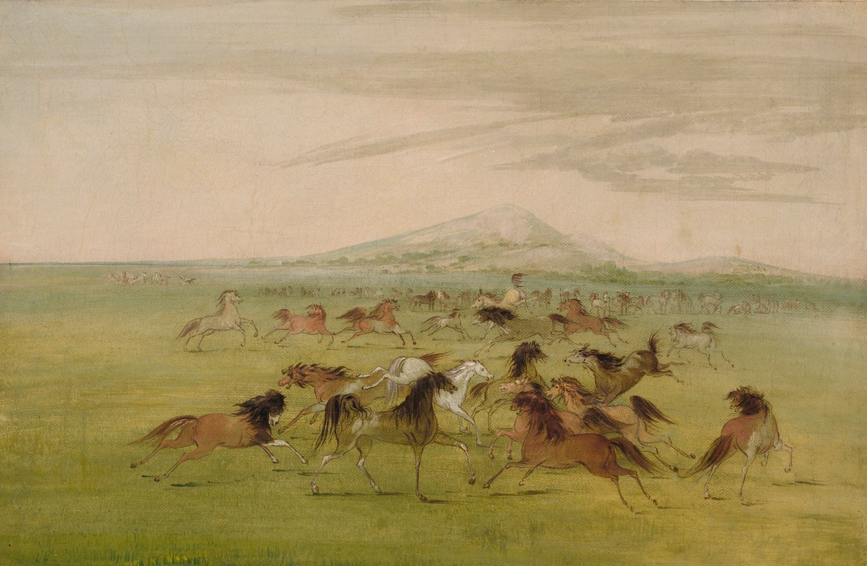  by George Catlin