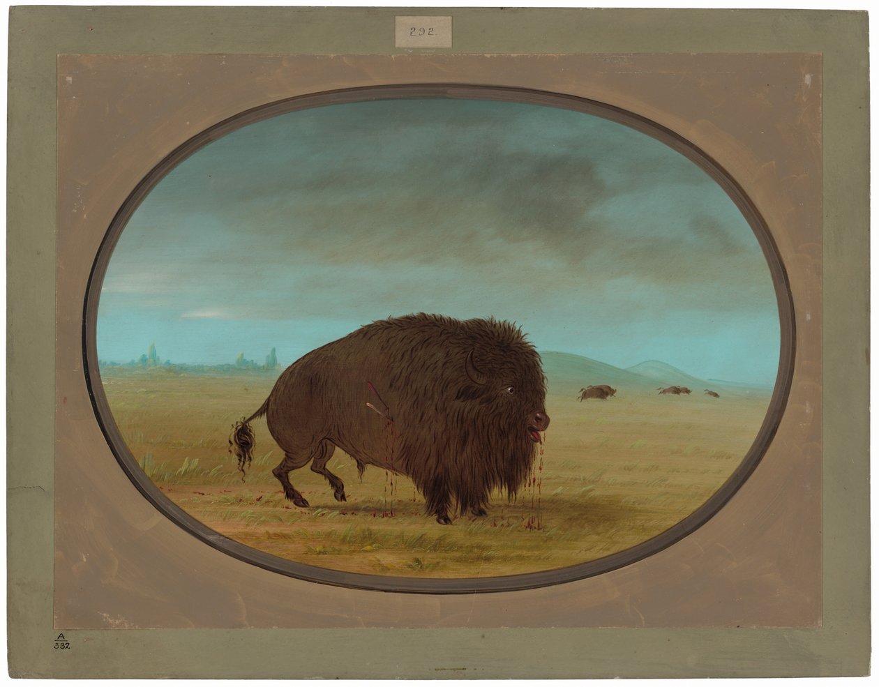 Yaralı Bufalo Boğa by George Catlin