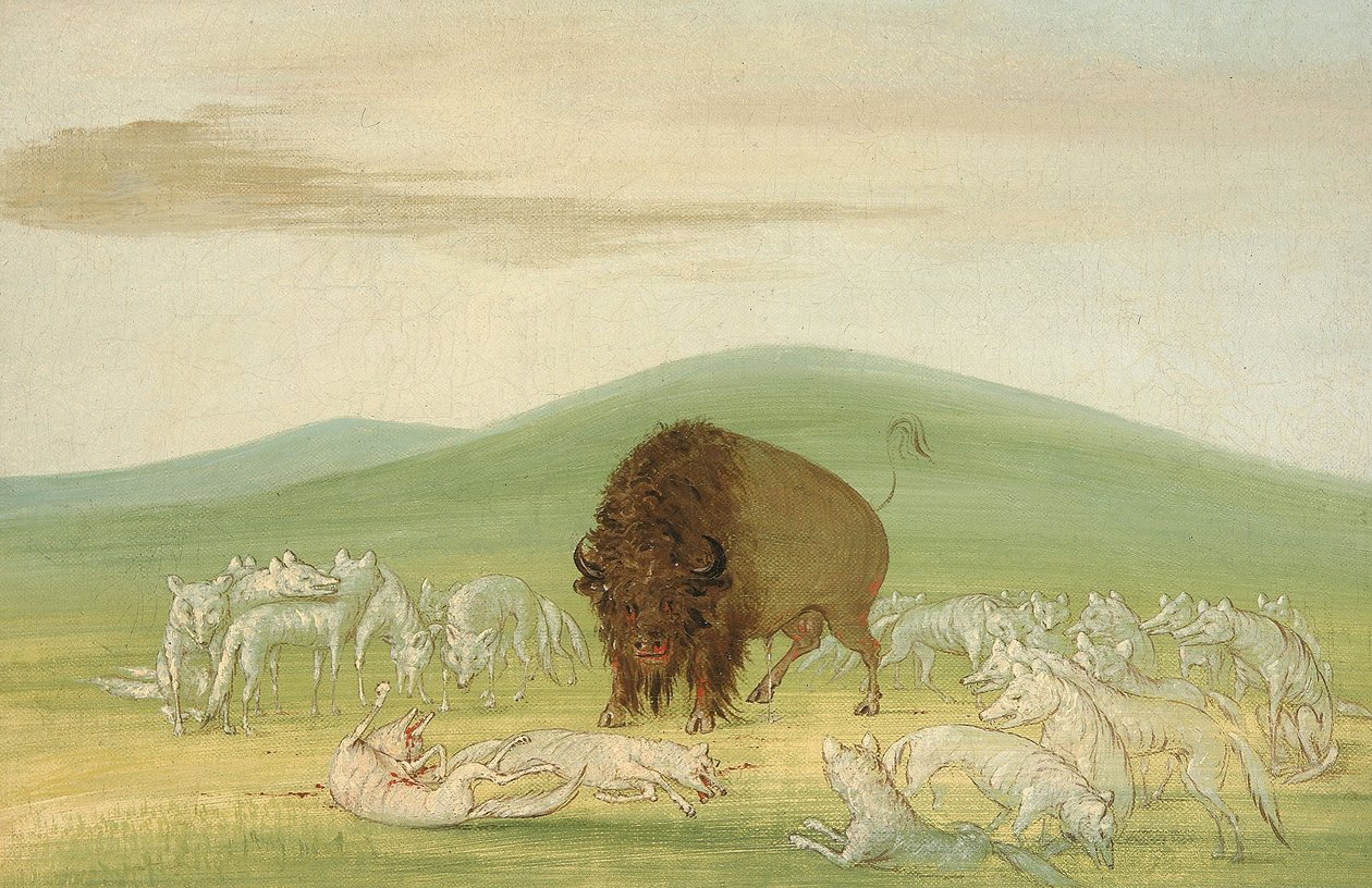  by George Catlin