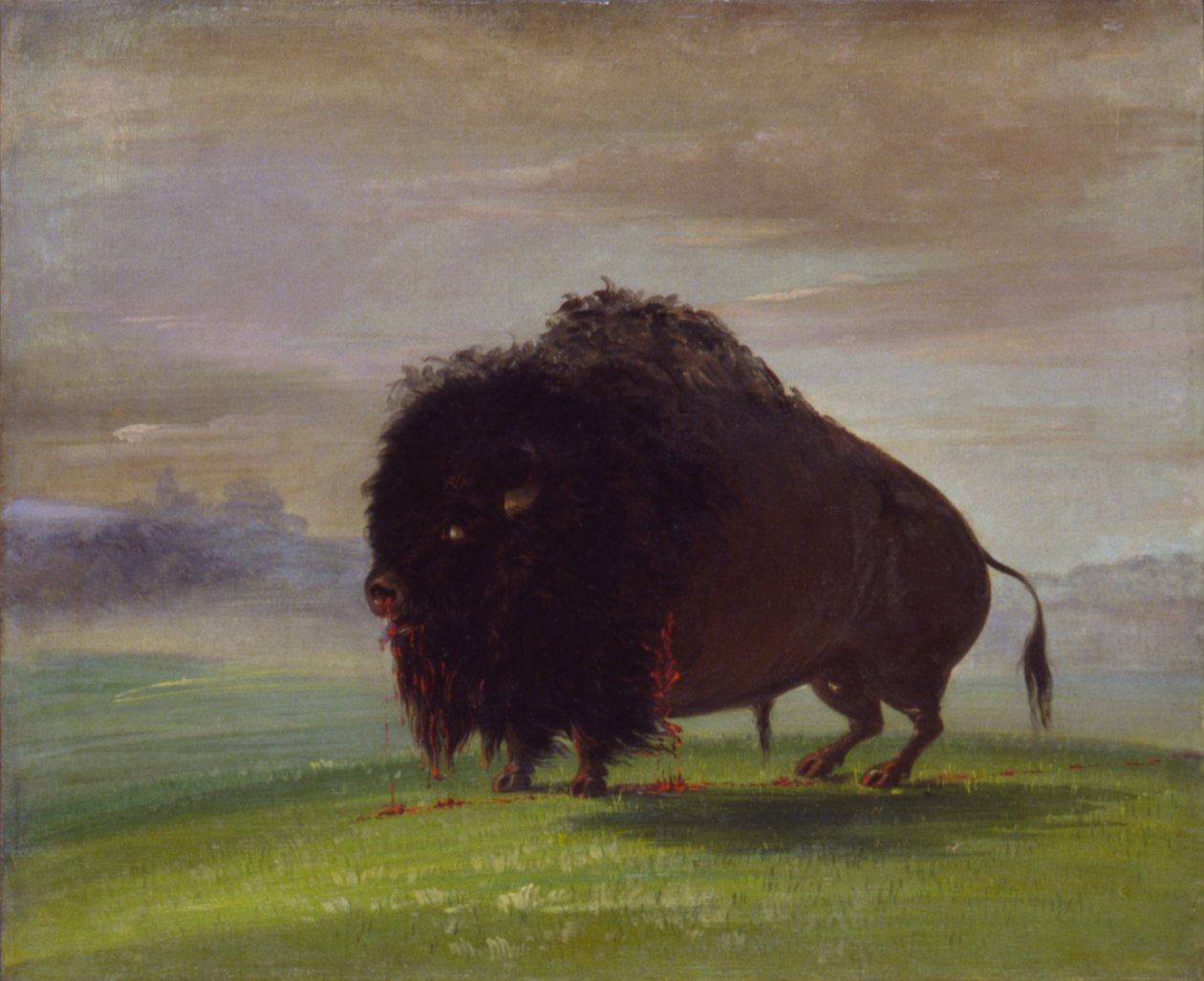  by George Catlin
