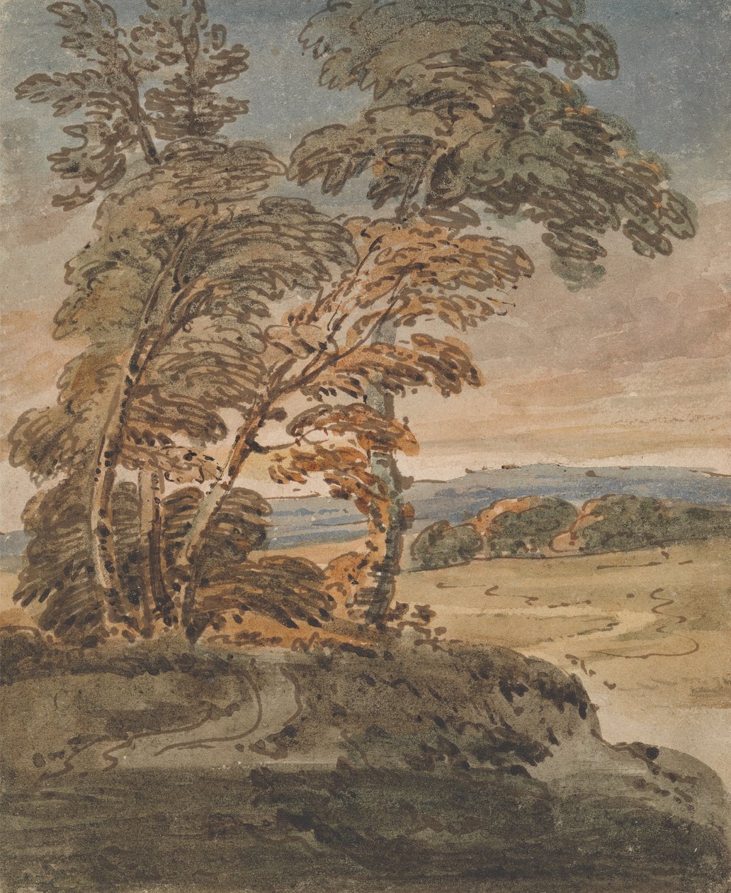 Yamaç Yolundaki Ağaçlar by George Chinnery