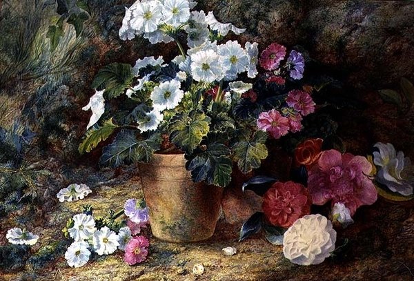 Kamelyalar ile Bir Tencerede Pelargoniums Natürmort by George Clare