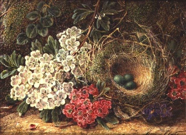 Kuş yuvası ile natürmort by George Clare