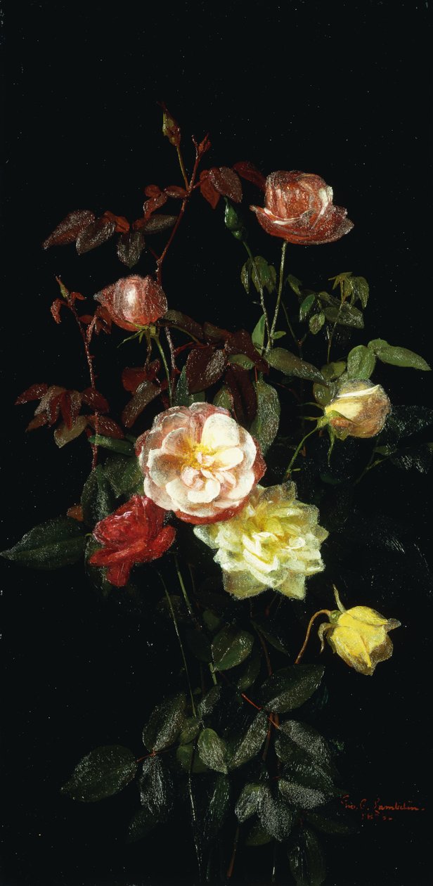 Güller, 1878 by George Cochran Lambdin