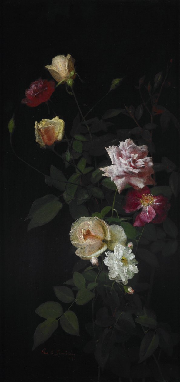  by George Cochran Lambdin