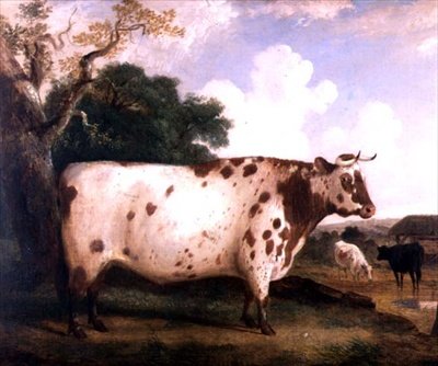Manzarada Kısa Boynuzlu Bir Boğa by George Cole