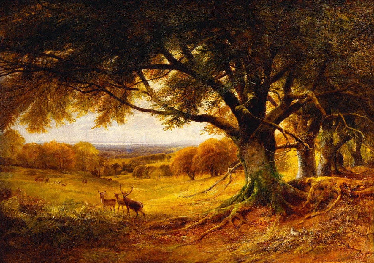 Spithead, Uppark, Sussex, 1868 by George Cole
