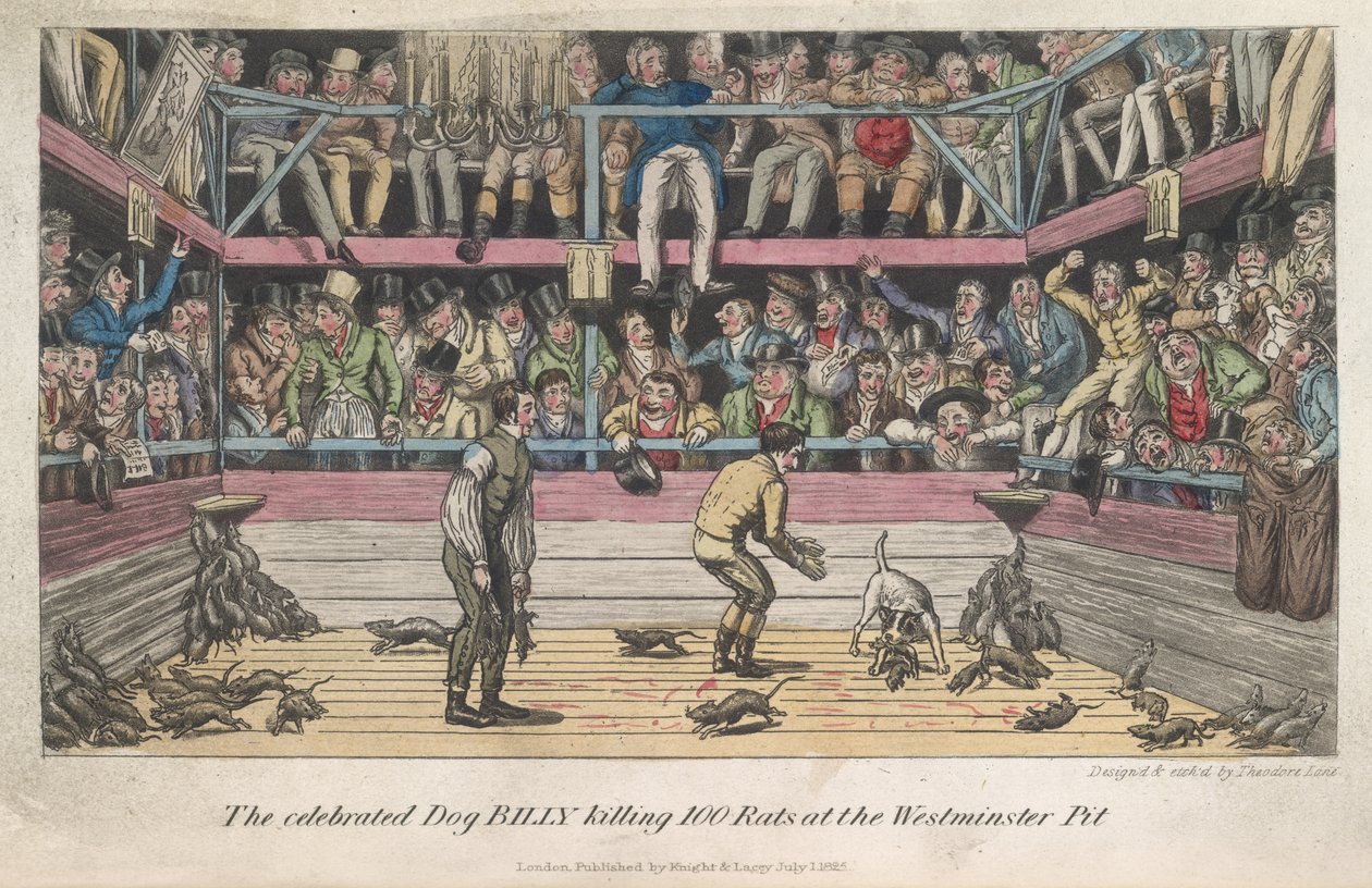 Sıçanlar öldürülüyor, 'Londra'da Yaşam, vb.', Pierce Egan by George Cruikshank