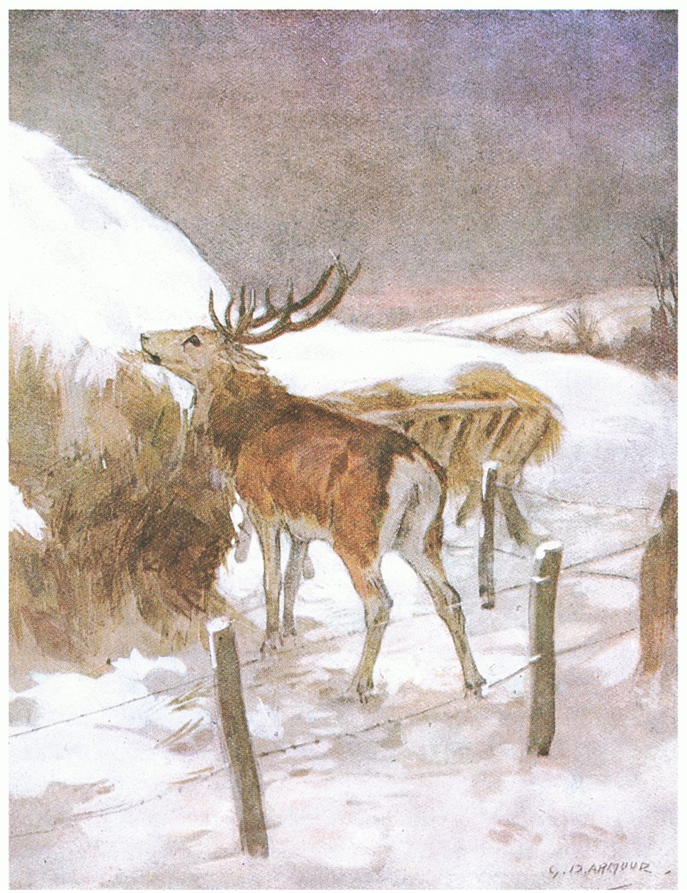 Kısa süre sonra öküzler için yemin nerede tutulduğunu keşfetti (renkli taş) by George Denholm Armour