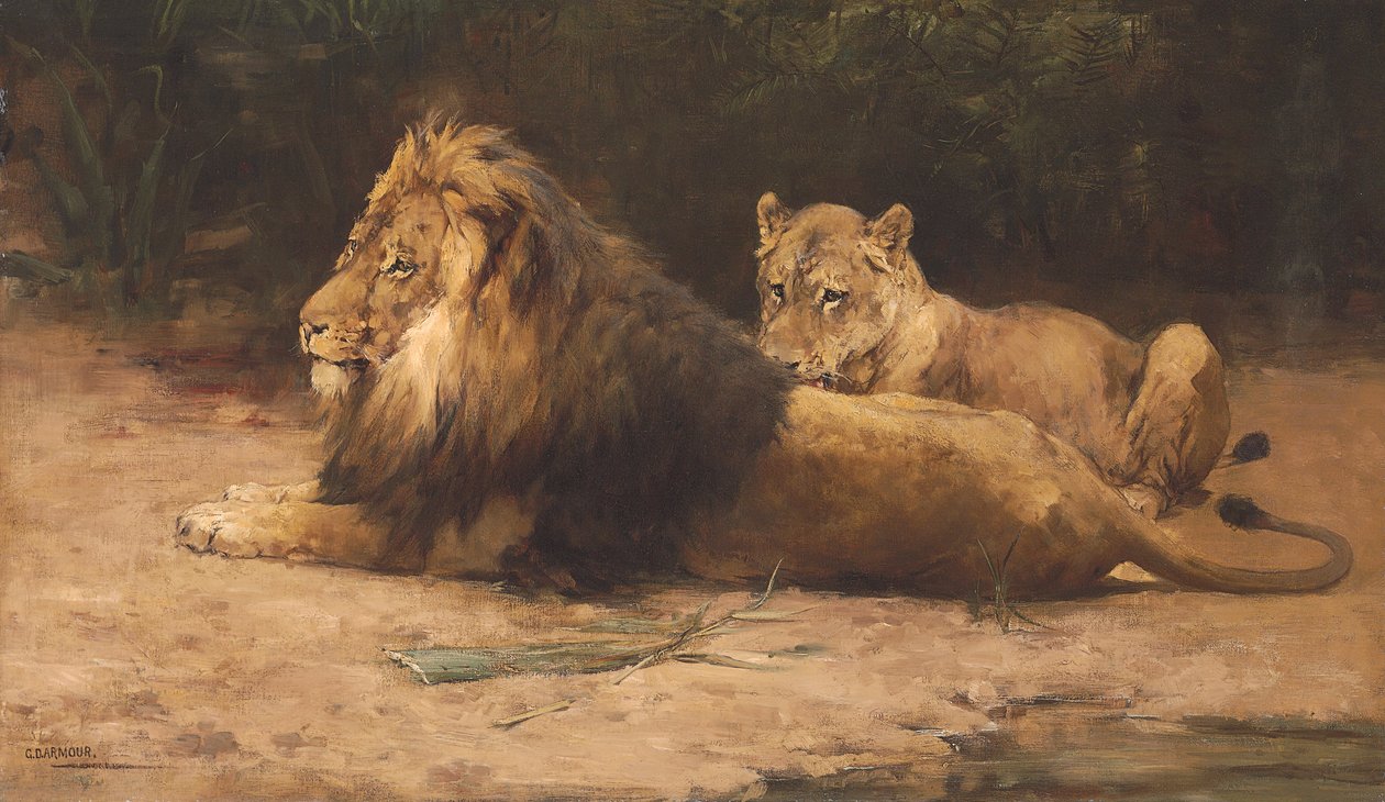 Dinlenmedeki Aslan ve Dişi Aslan (tuval üzerine yağlı boya) by George Denholm Armour