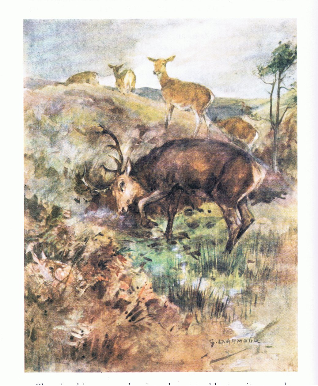 Büyük boynuzlarını yere daldırarak onu yırttı (renkli taş) by George Denholm Armour