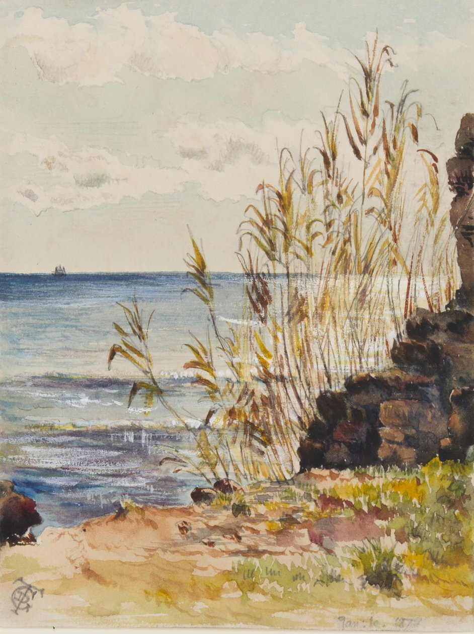 Akdeniz