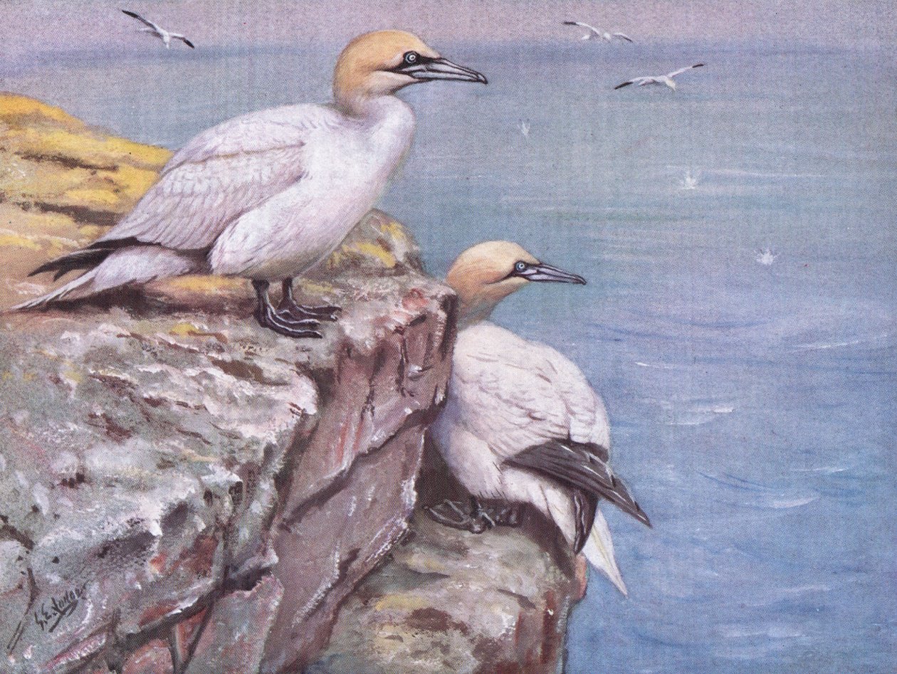  by George Edward Lodge