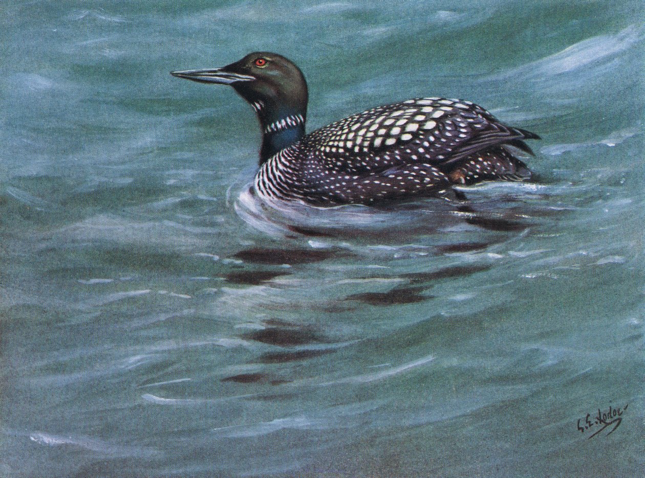  by George Edward Lodge