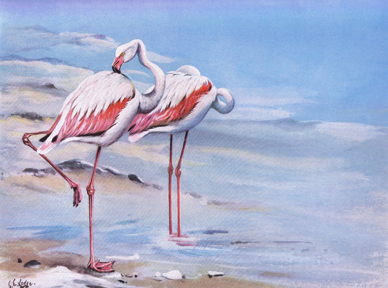  by George Edward Lodge