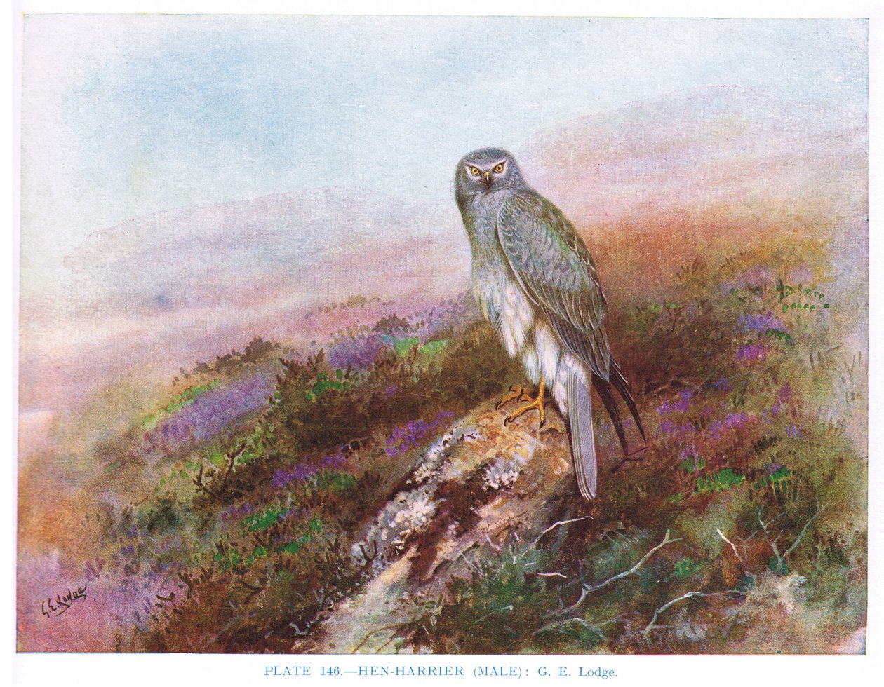  by George Edward Lodge