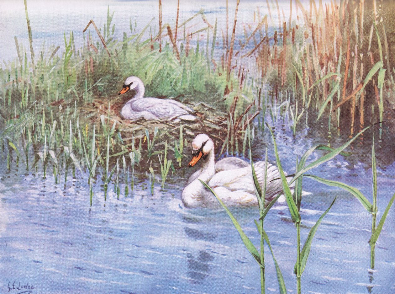  by George Edward Lodge