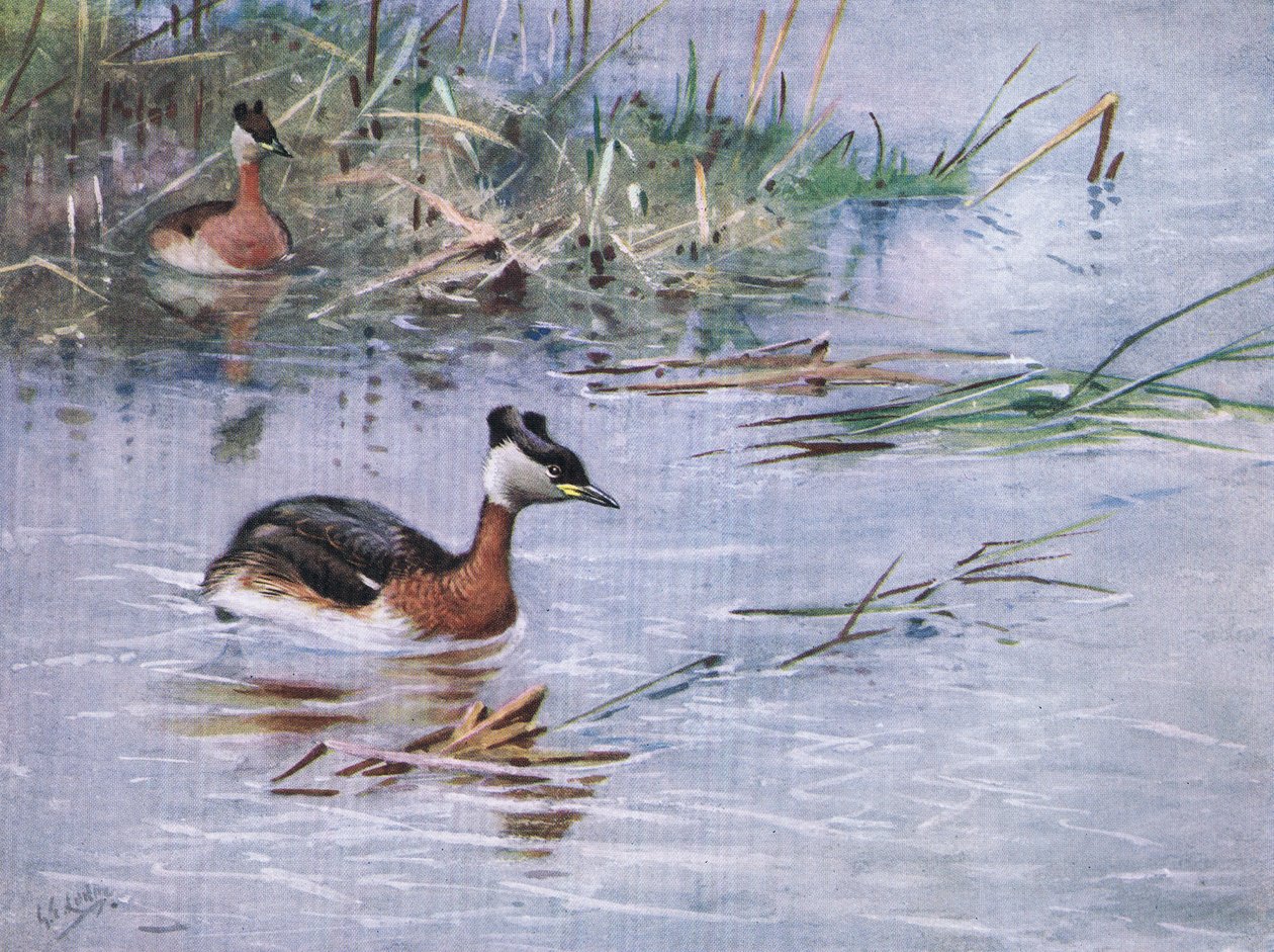  by George Edward Lodge