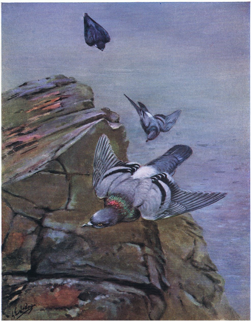  by George Edward Lodge