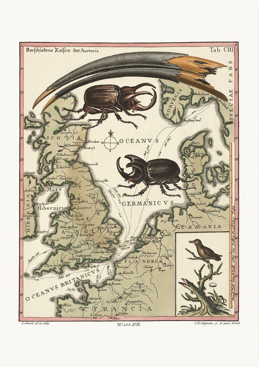 Aegyptian Ibis ve En Küçük Sinek Kuşunun Faturası, 1749-73 by George Edwards