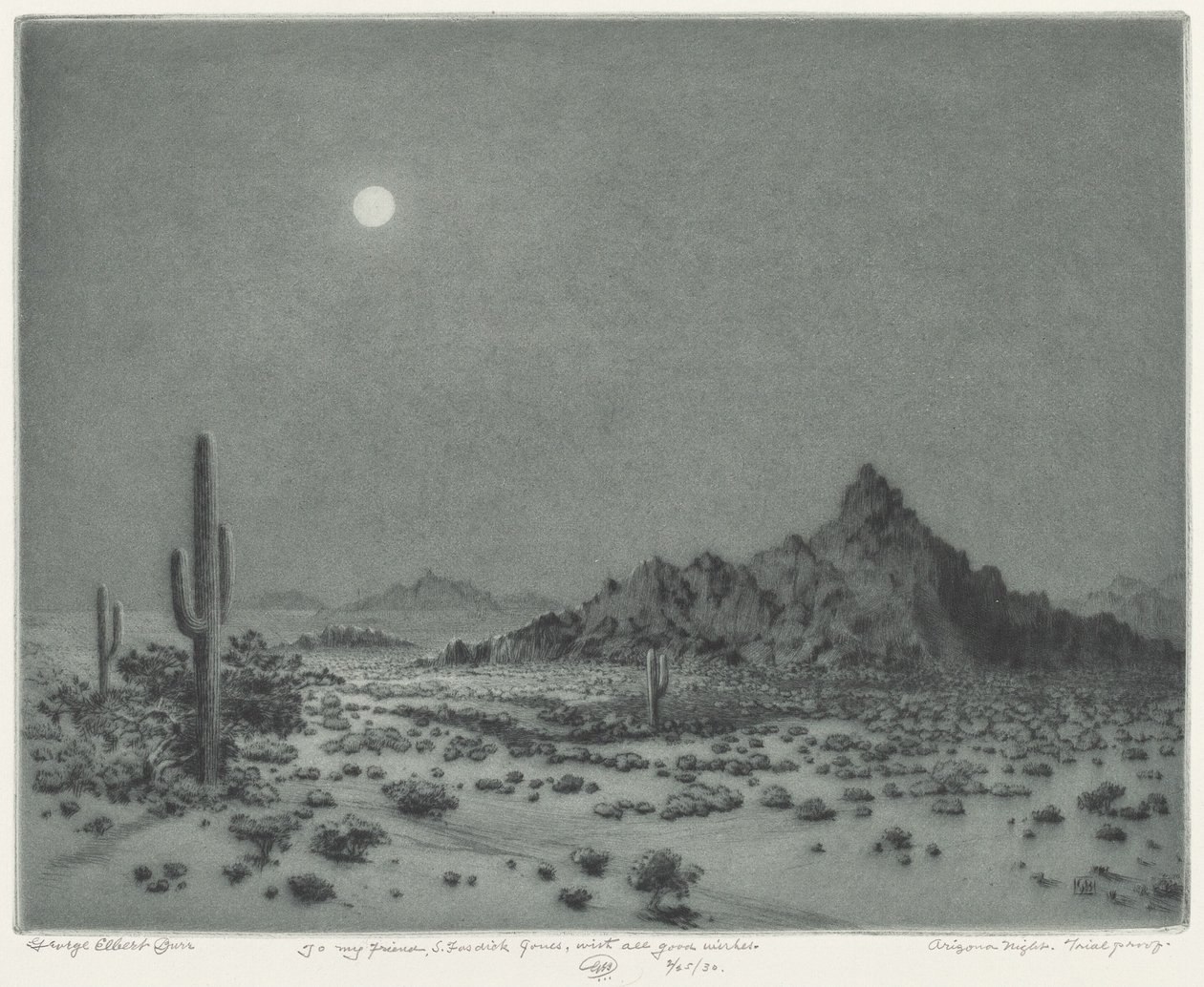 arizona gecesi by George Elbert Burr