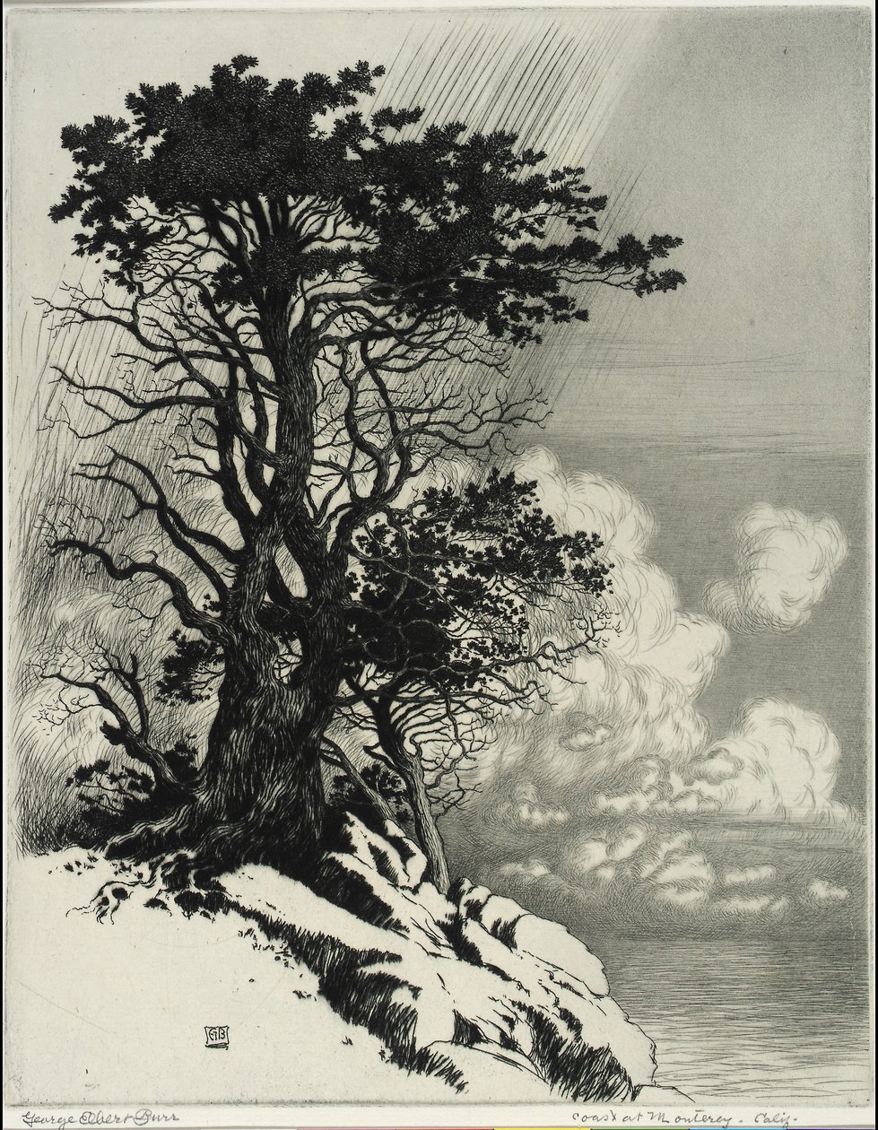  by George Elbert Burr