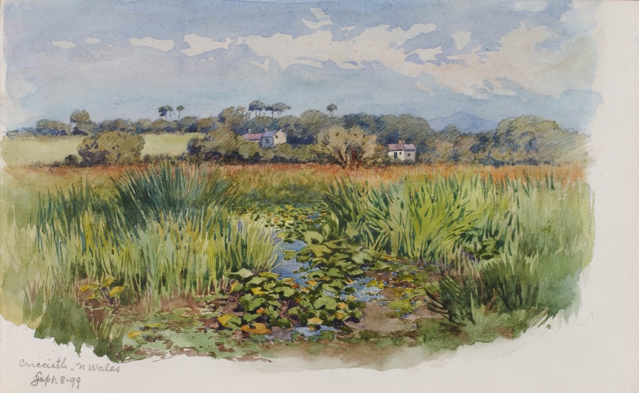  by George Elbert Burr