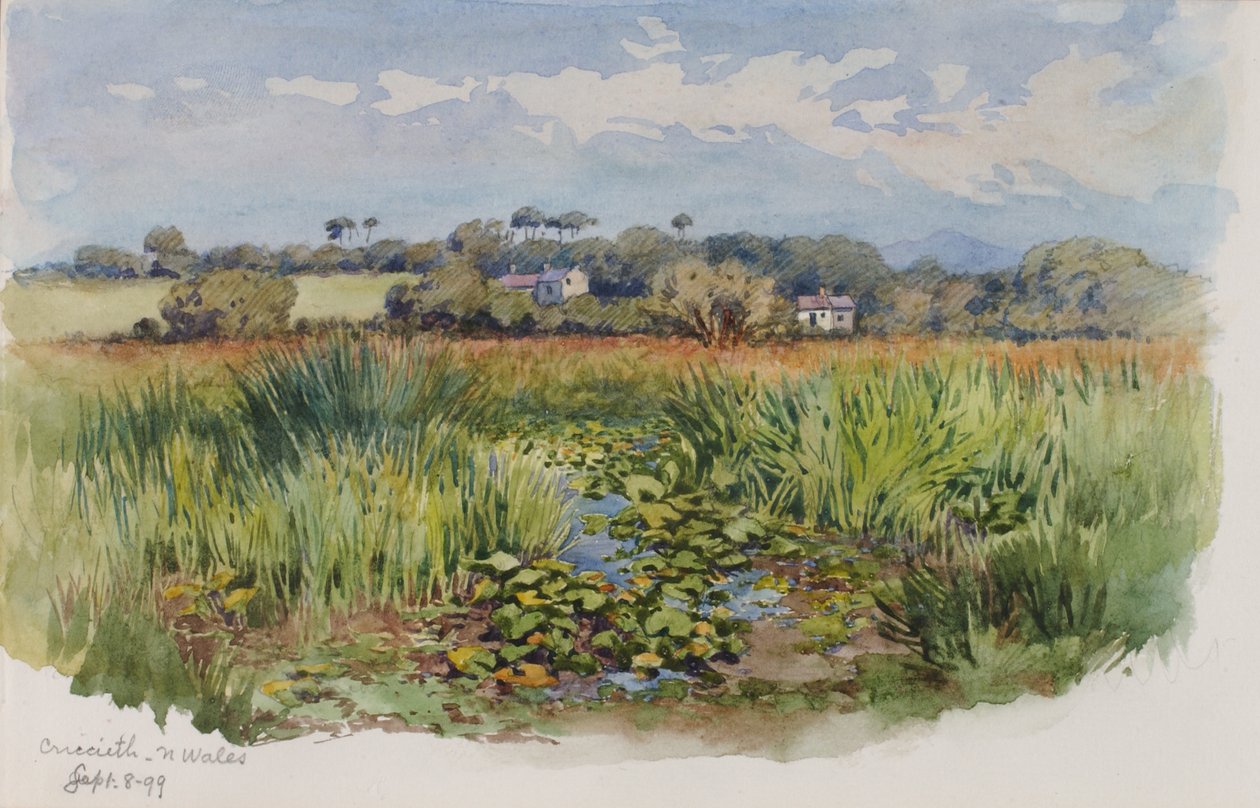 Criccieth, Kuzey Galler, 1899. by George Elbert Burr