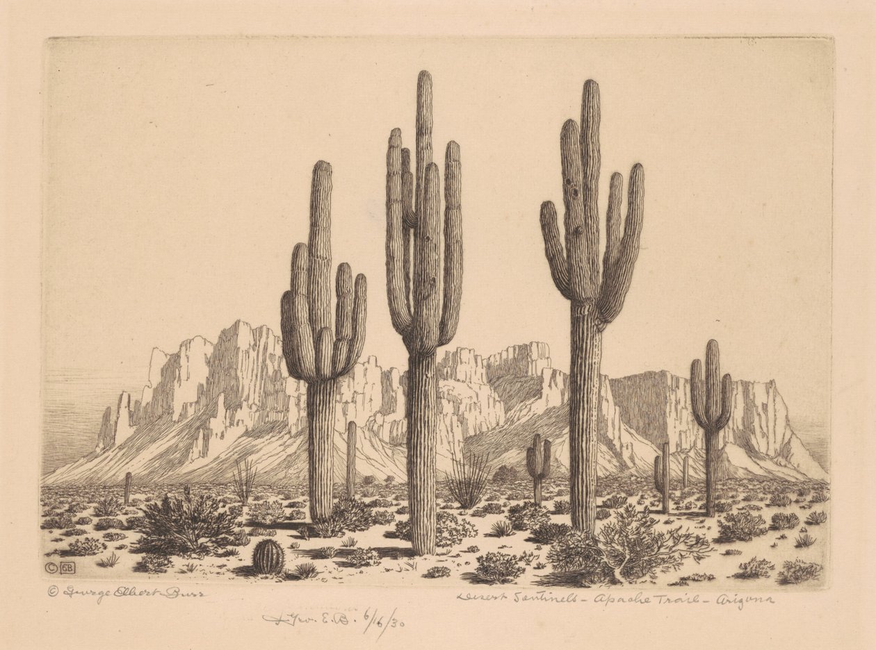 Çöl Nöbetçileri, Apaçi Yolu, Arizona by George Elbert Burr