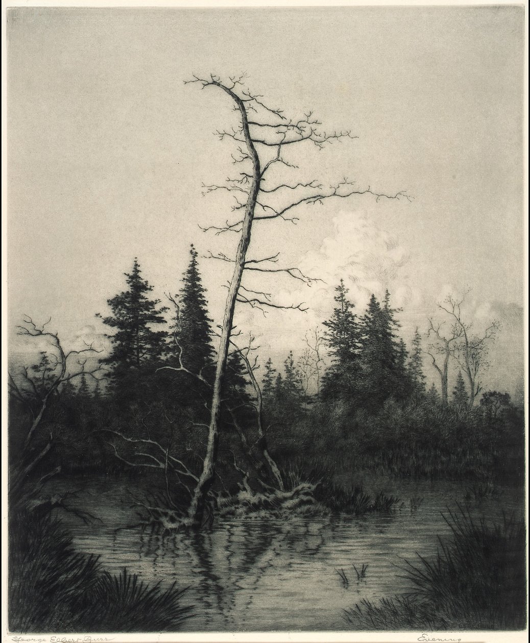  by George Elbert Burr