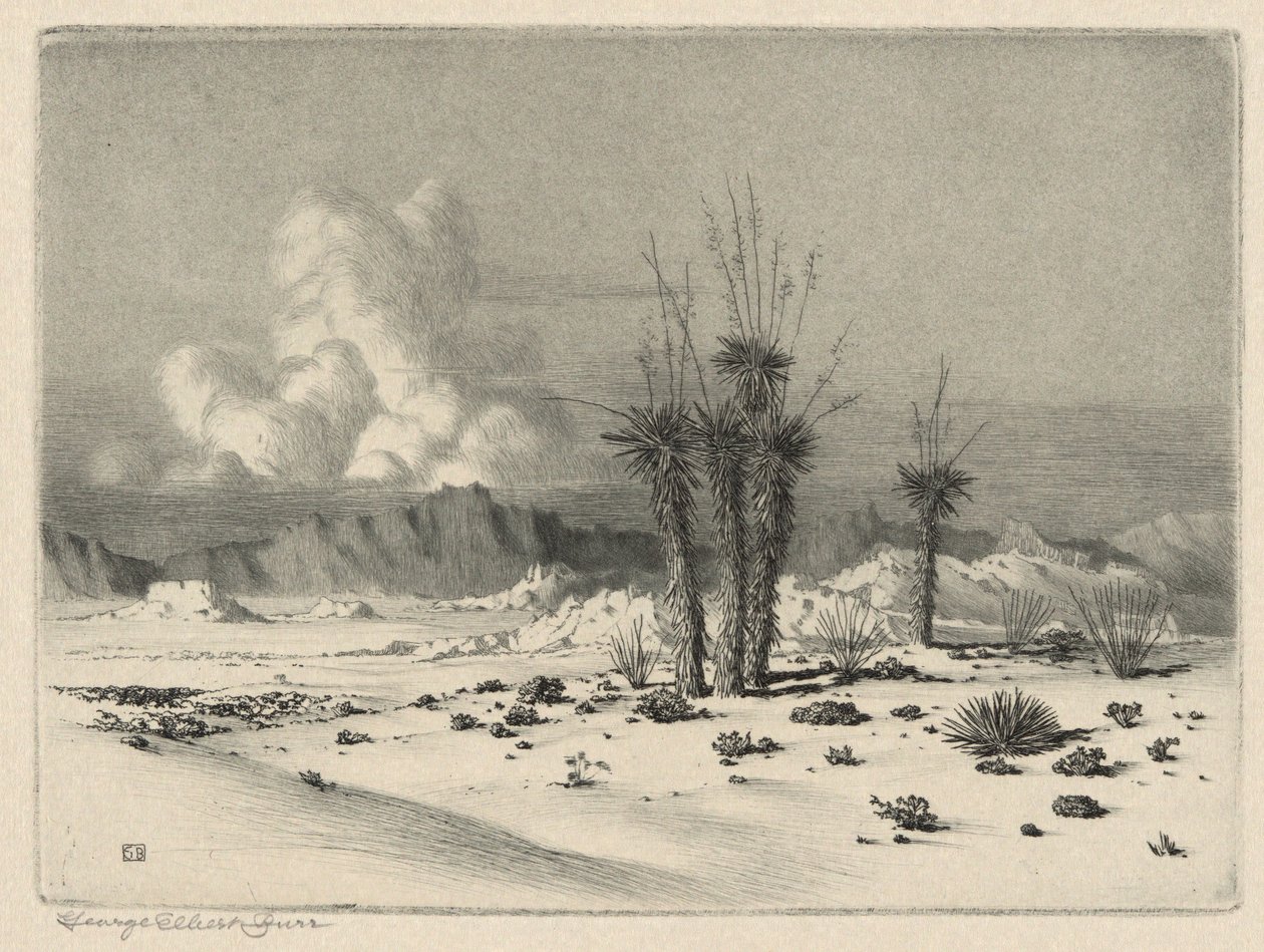 Akşam, Arizona by George Elbert Burr