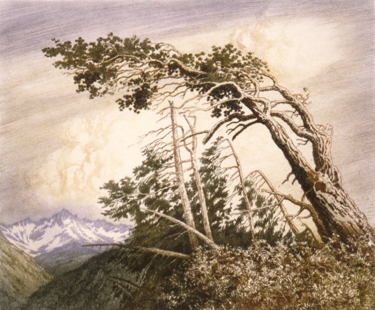  by George Elbert Burr