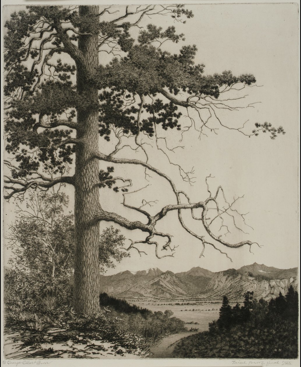  by George Elbert Burr