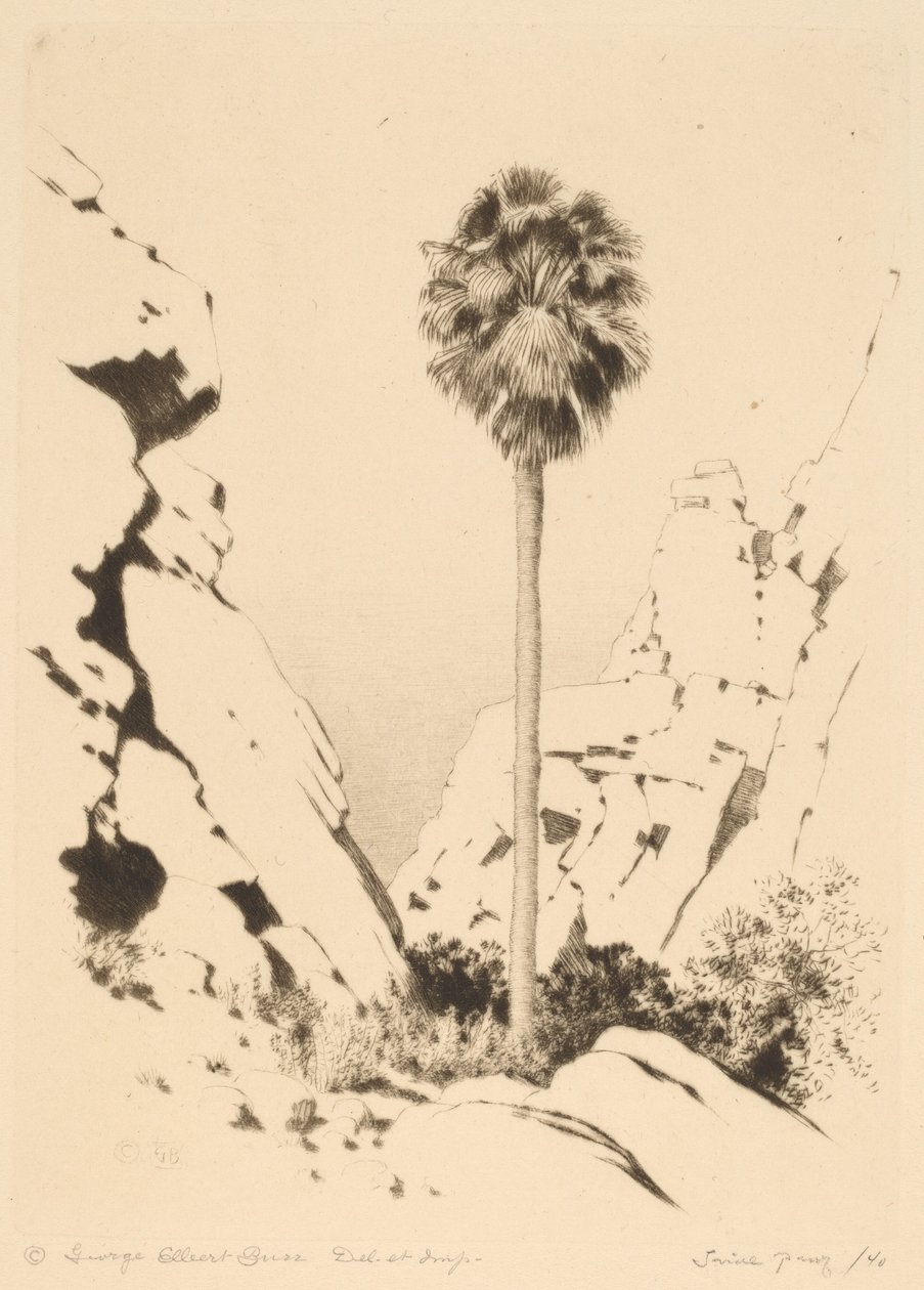 Palmiye Kanyonu (no.1) by George Elbert Burr