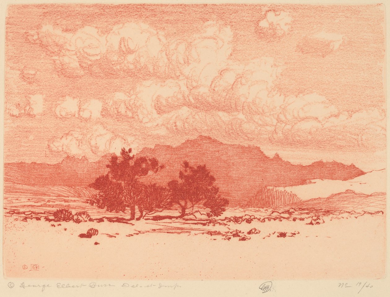 Palo Verde Ağaçları by George Elbert Burr