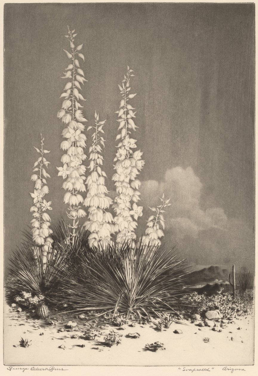 Sabunotu, Arizona (no. 2) by George Elbert Burr
