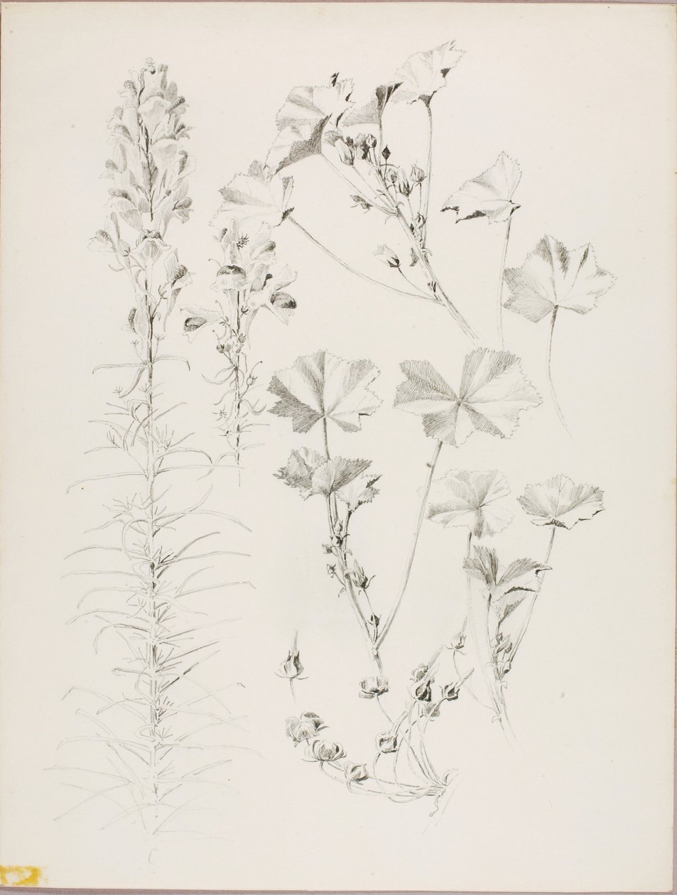  by George Elbert Burr