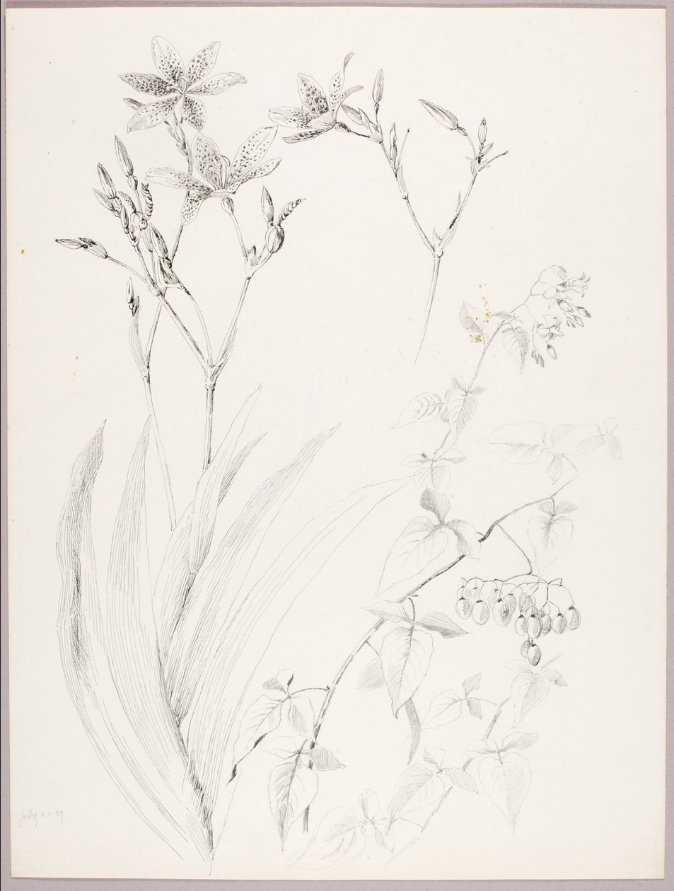  by George Elbert Burr
