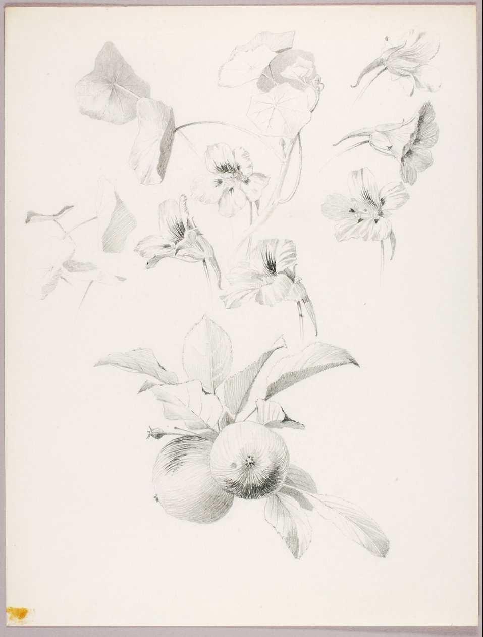  by George Elbert Burr