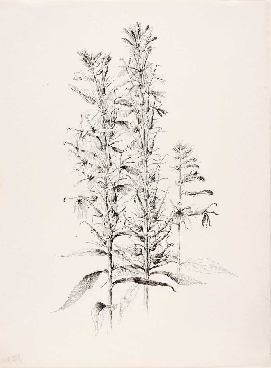  by George Elbert Burr