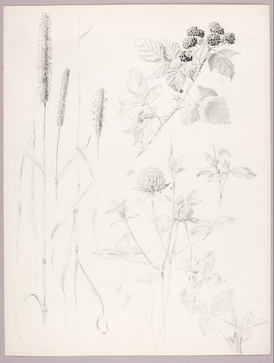  by George Elbert Burr