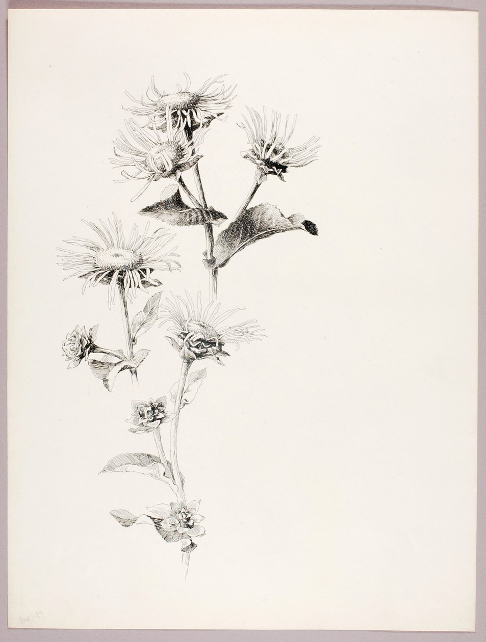 by George Elbert Burr