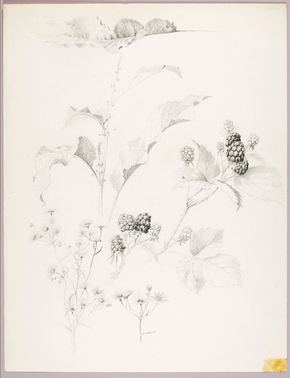  by George Elbert Burr