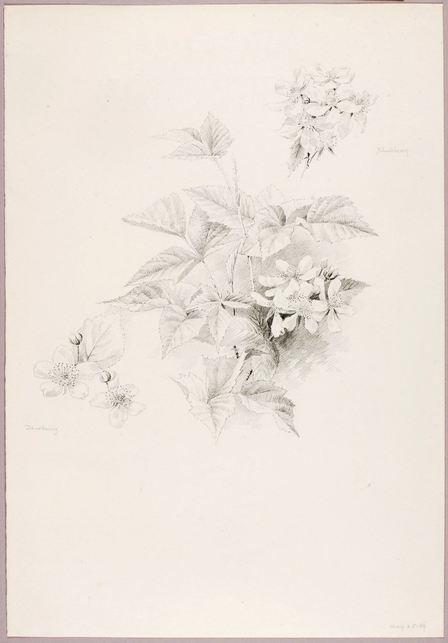  by George Elbert Burr